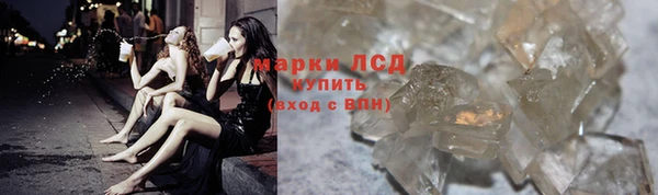 ПСИЛОЦИБИНОВЫЕ ГРИБЫ Гусиноозёрск