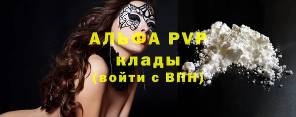 ПСИЛОЦИБИНОВЫЕ ГРИБЫ Гусиноозёрск