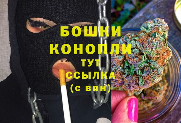 ECSTASY Гусев