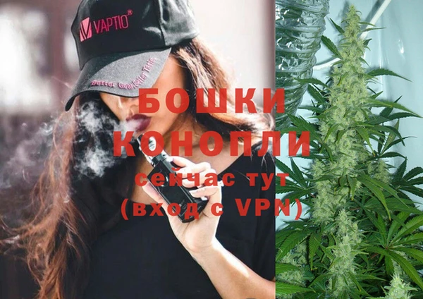 дмт Гусь-Хрустальный