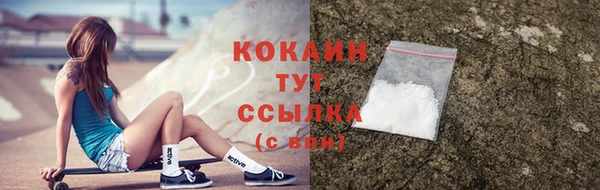 дмт Гусь-Хрустальный